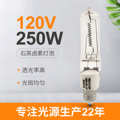 Enden-Halogenbirne Jd E11 Mini Candelabra Instrument Lamp 120V 250W einzelne