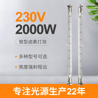 Quarz-Lampen-Halogen-Glühlampedoppelseitige Infrarotheizungsersatzrohre 230V 2000w